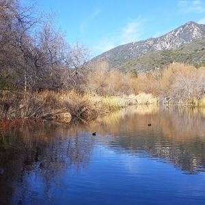 Meet your Posher, Maritza